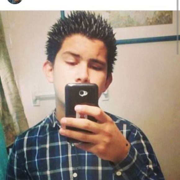 sharkboycx